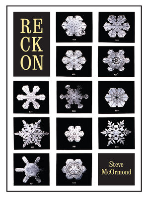 cover image of Reckon